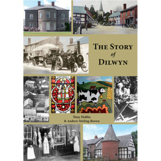 Story of Dilwyn cover